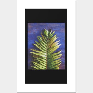 Woodland Fern Posters and Art